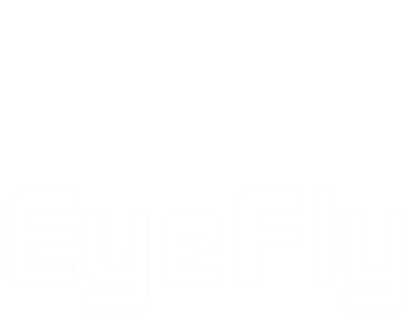 EyeFly Logo